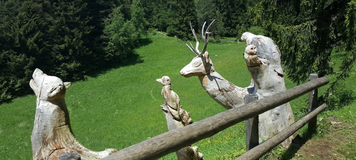 A Lavarone, il Sentiero delle Sorgenti con quattrozampe