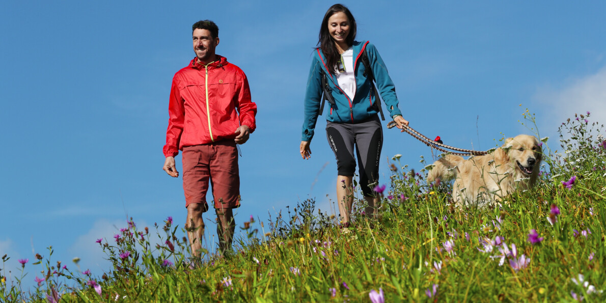Passeggiata con cane in Val Meledrio