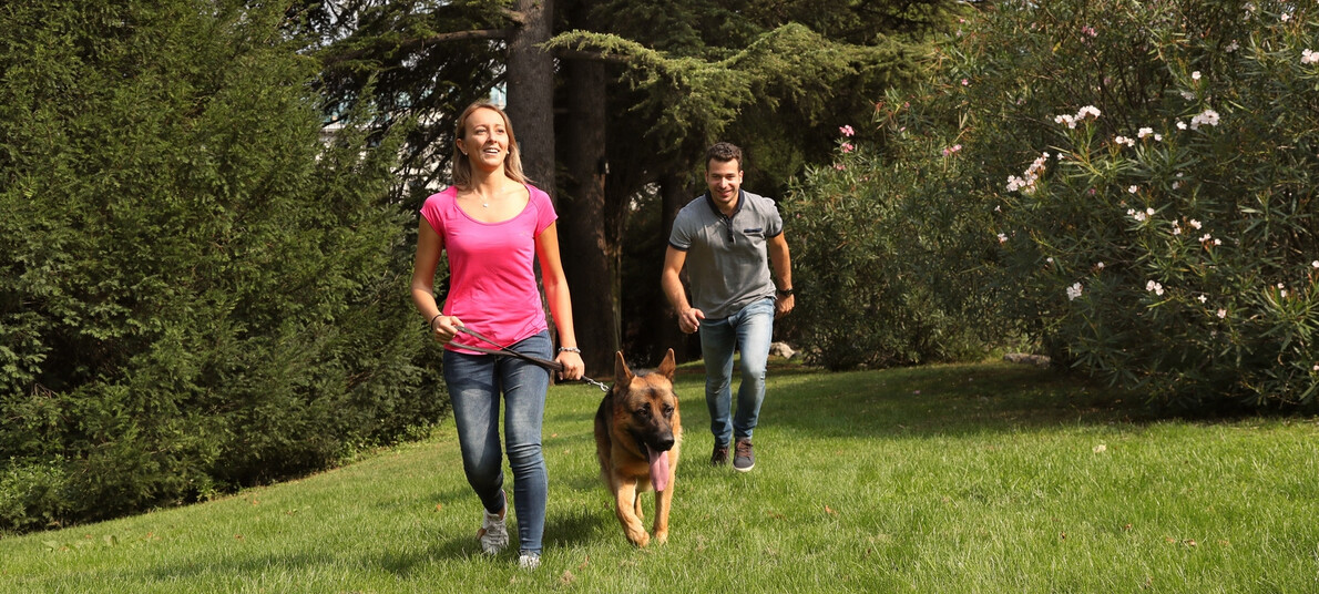 Sulle orme di Dürer, in compagnia di un quattrozampe