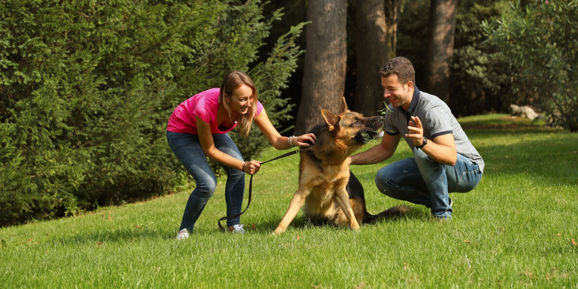 A Caldes con il cane, il giro delle trincee