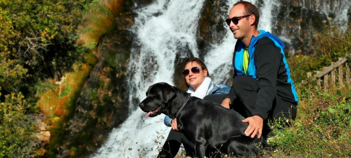 Giro con cane a BoscoArte Stenico