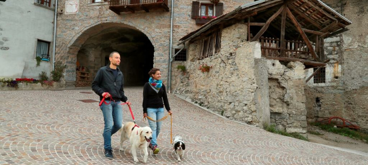 Bleggio Superiore: con il quattrozampe tra storia e paesaggio