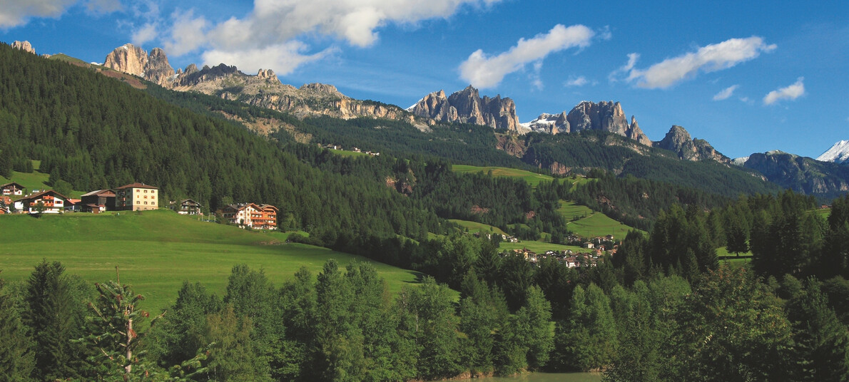 Giro ad anello con cane in Val di Fassa