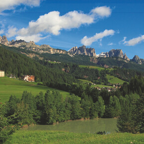 Giro ad anello con cane in Val di Fassa