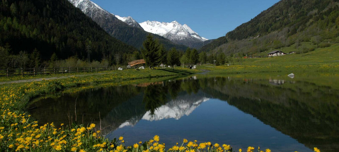 Val di Sole con cane: la Passeggiata delle Viscle