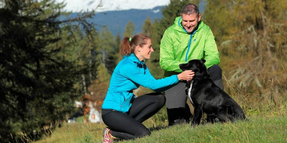 Gita tra i forti con quattrozampe: al passo del Tonale