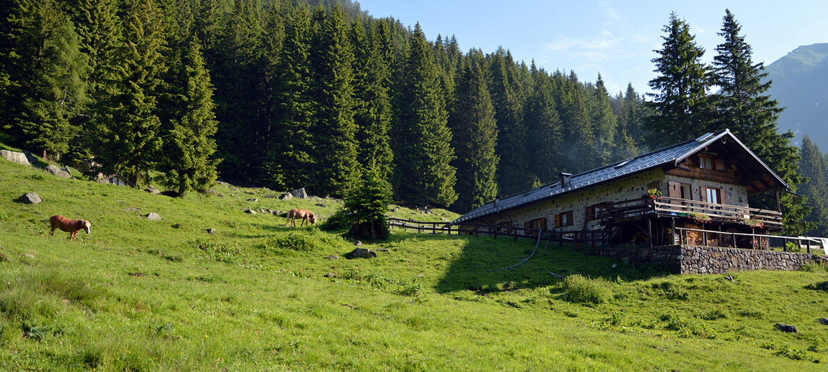 L’oasi di Valtrigona assieme al nostro cane