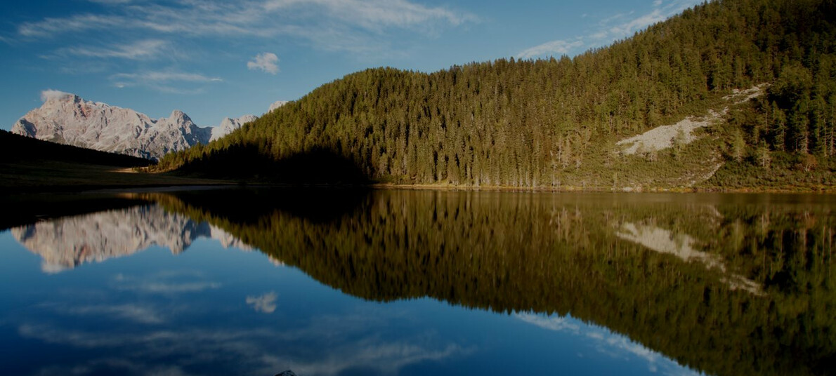In Primiero, la Via Nova assieme al cane