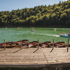 Con il quattrozampe al lago di Lavarone