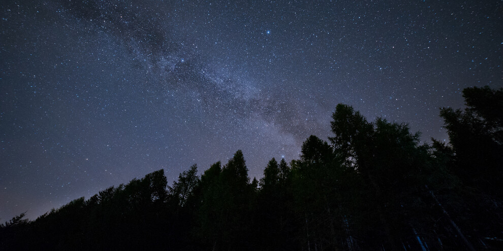 Gesterntes Abendessen 