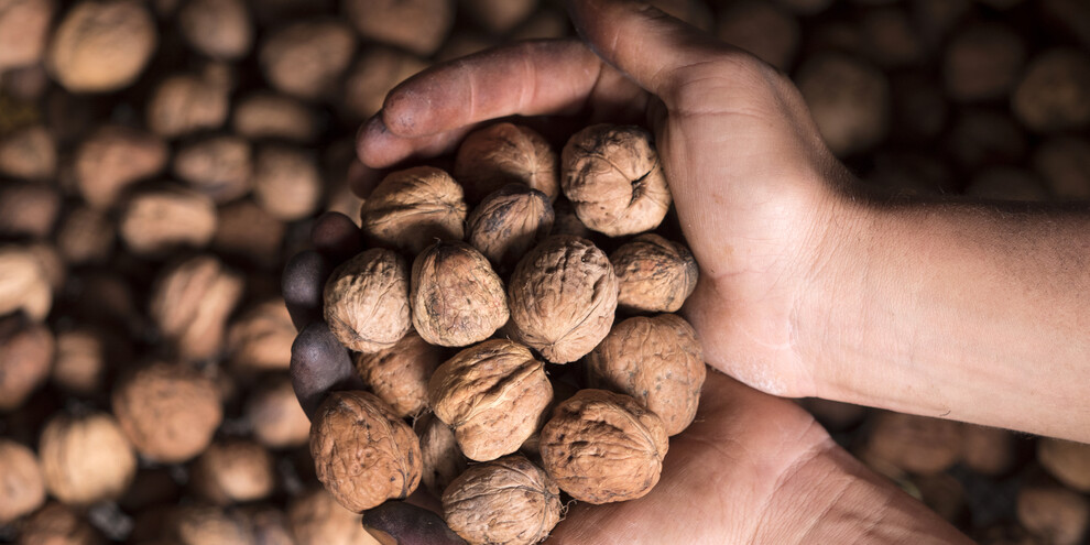 Tasteful weekend in Novembree