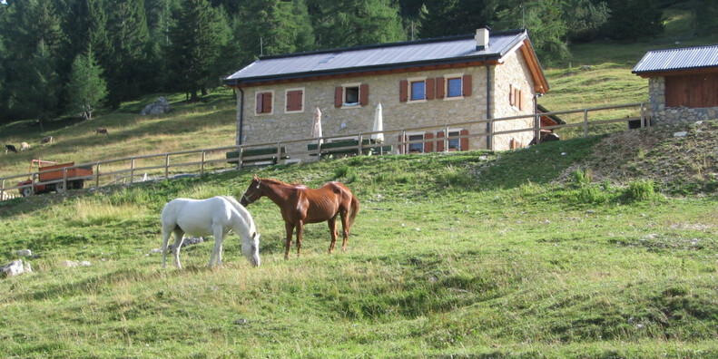 Malga Zocchi farmstead