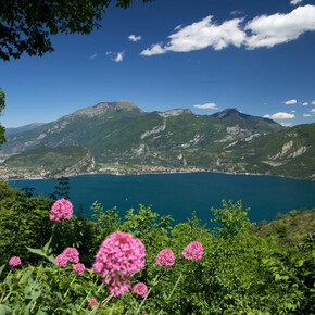 Alla scoperta della Biosfera