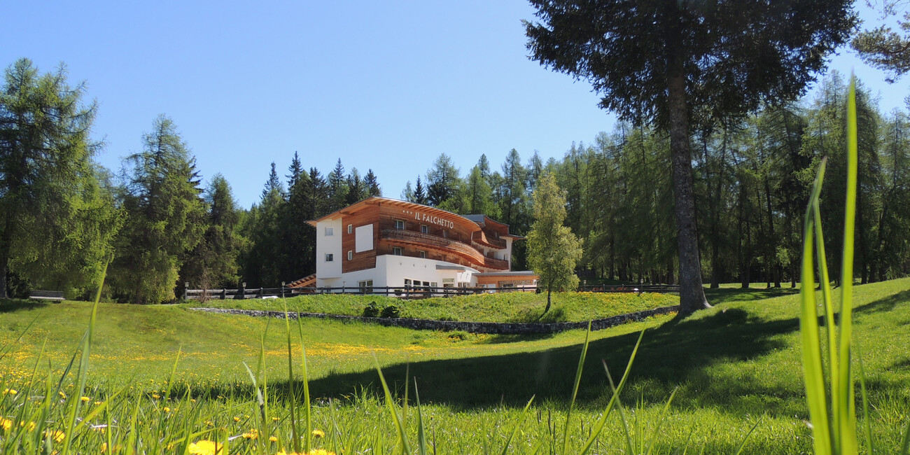 Passo Mendola  #1