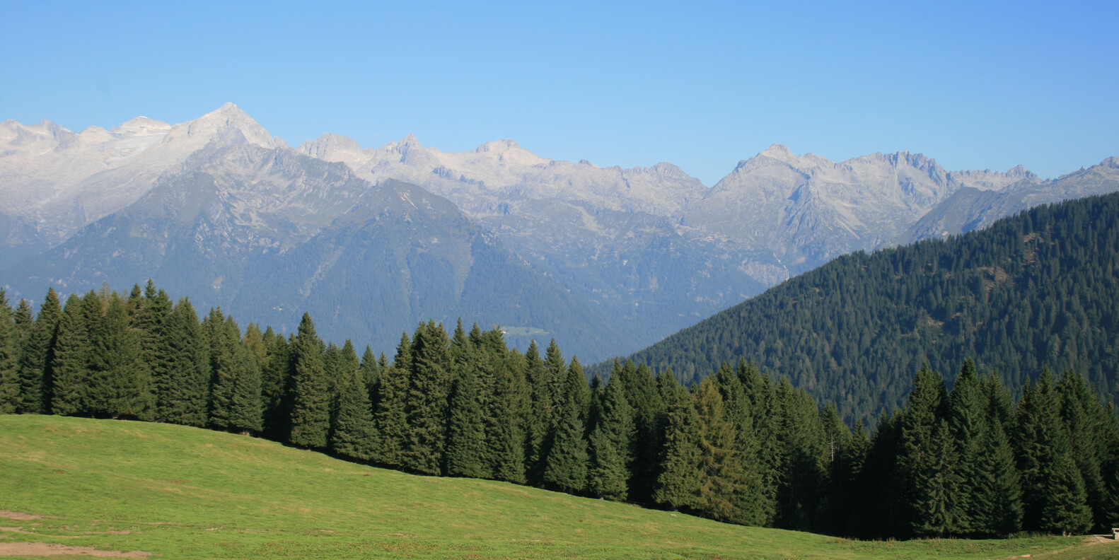 Val d'Algone Natura Luoghi incantevoli Trentino