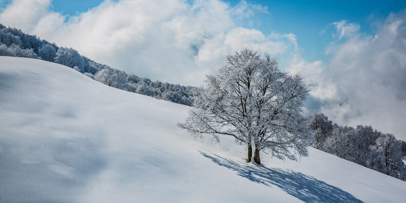 APT Rovereto - Brentonico Inverno | © Ph. Tommaso Prugnola