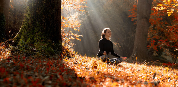 Your wellness journey