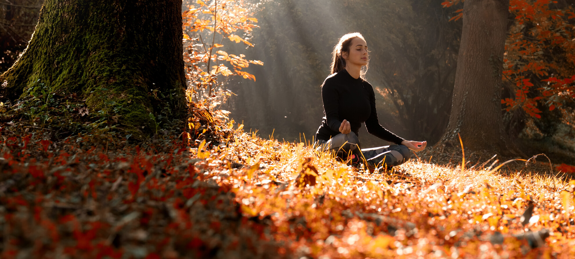 A weekend to regenerate