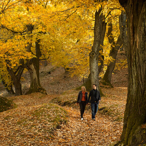 Kurzurlaub für Geniesser