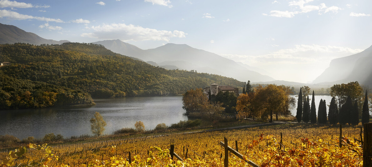 Enogastronomische Veranstaltungen und Weinlese