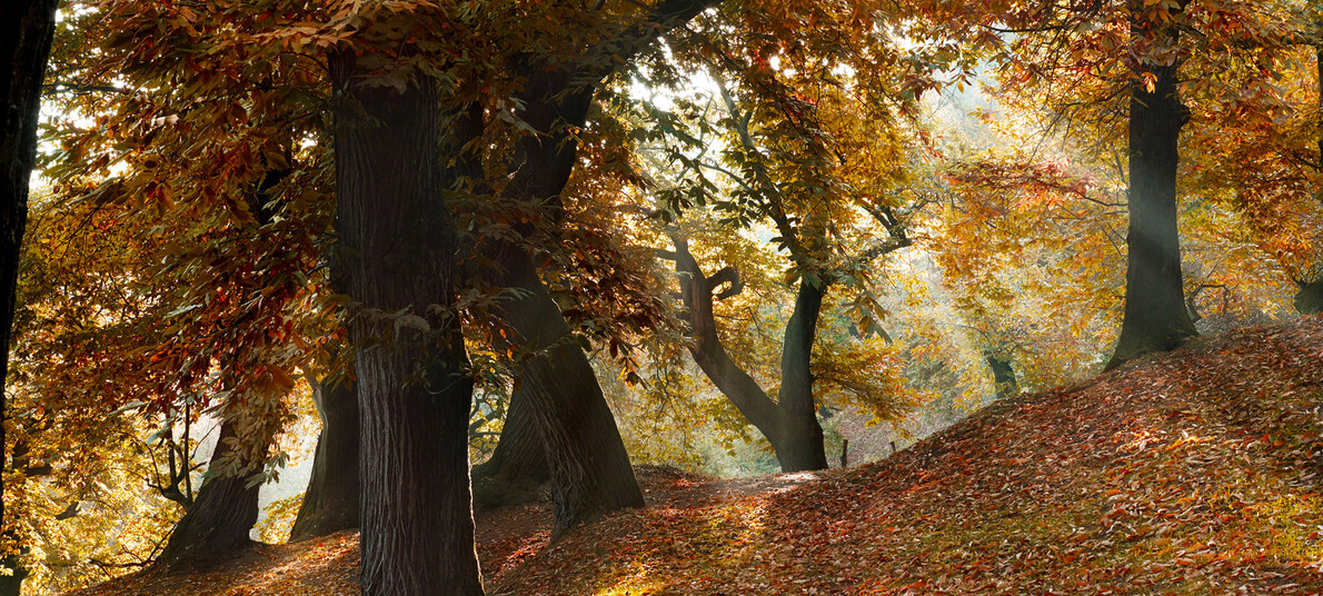 Some tips for an autumn weekend close to nature