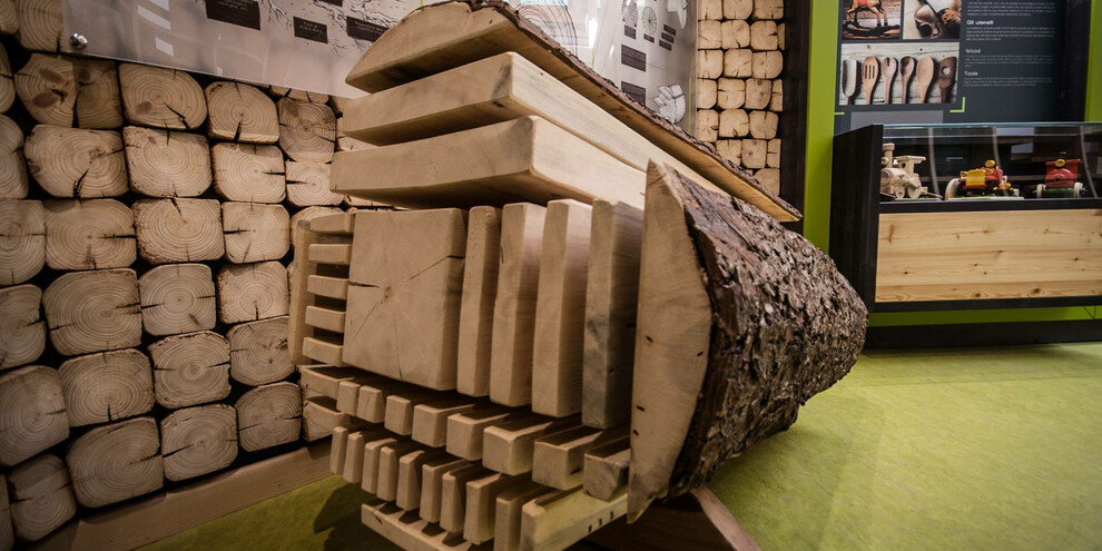 Die Geheimnisse des Holzes