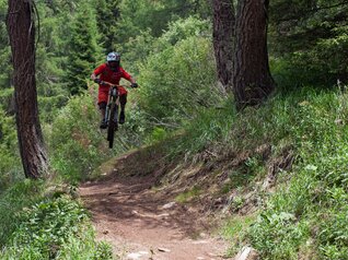 Brenta Bike Park