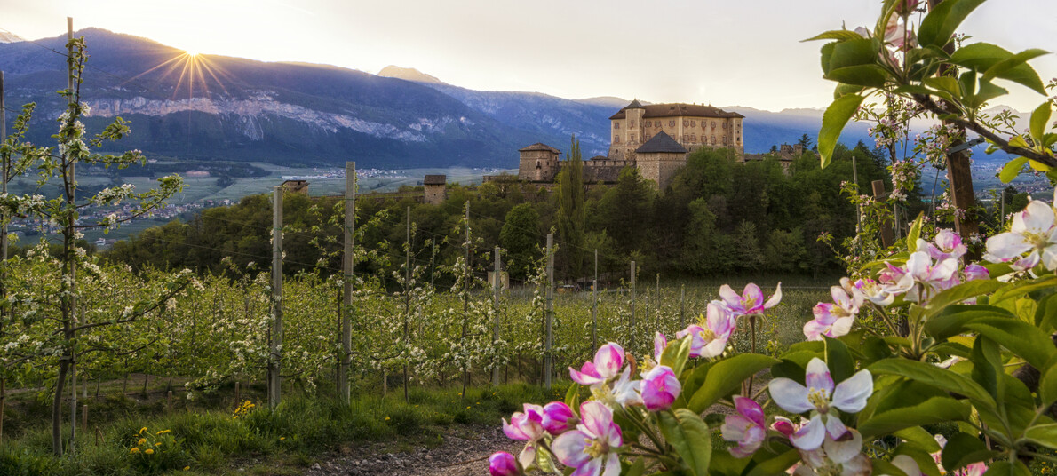 10 domande e risposte per scoprire il Trentino