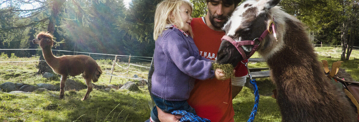Familienurlaub im Frühling