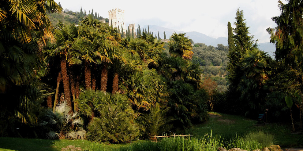Visitare il Parco Arciducale Arboreto
