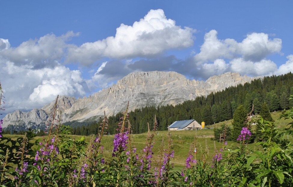 passo-di-lavaz-ampio-panorama-su-catinaccio-e-latemar-scopri-il