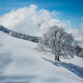 APT Rovereto - Brentonico Inverno | © Ph. Tommaso Prugnola