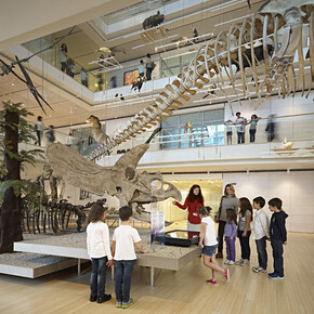 Von der Natur lernen