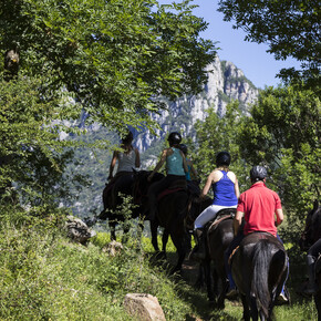 Tolle Ideen fürs Wochenende