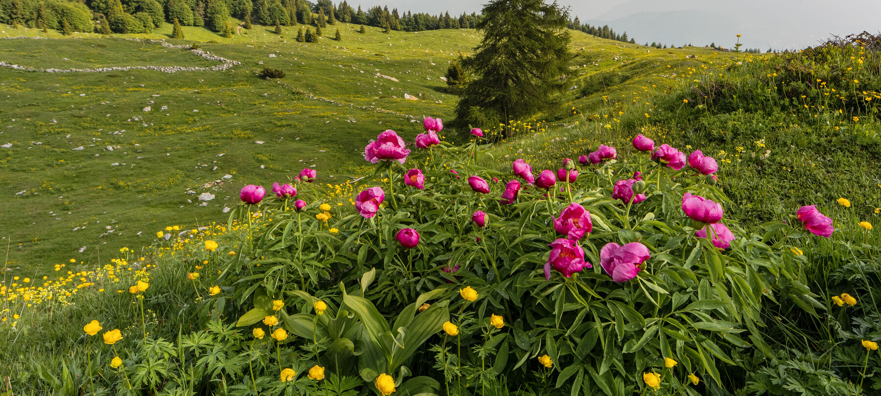 Cosa fare in primavera a Rovereto e in Vallagarina