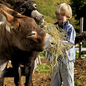 Der Berg als Lehrmeister