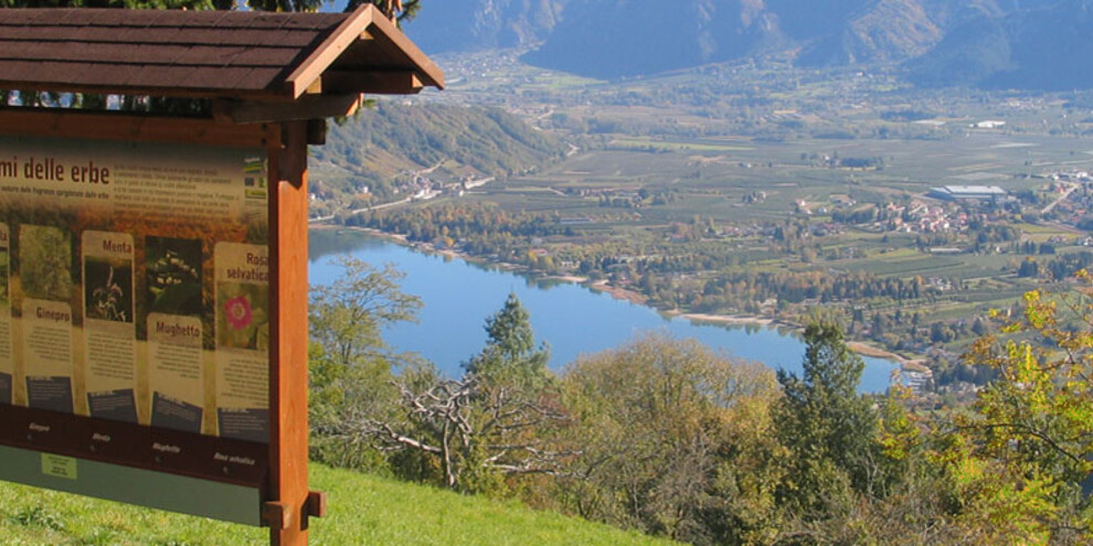 Das Erwachen der Sinne