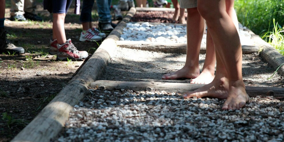 Tra i boschi della Val di Fiemme