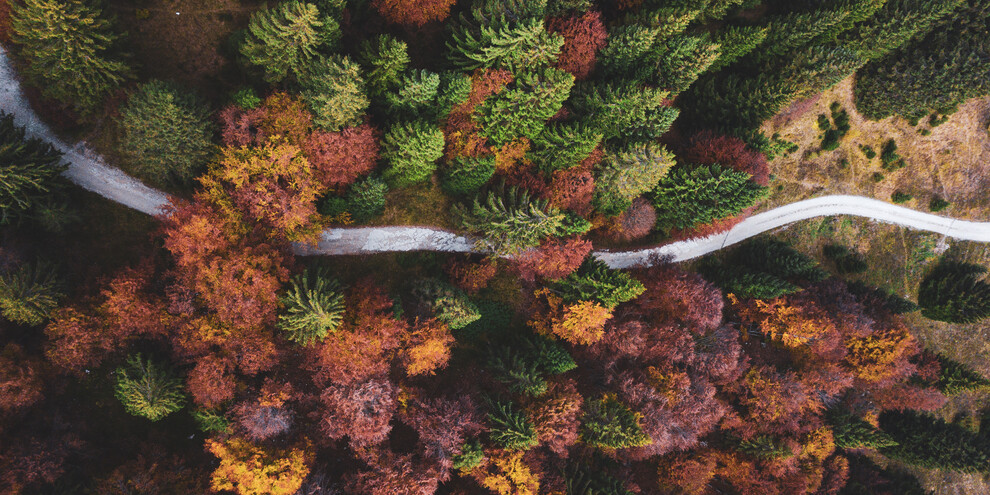 Assaggi e paesaggi in Val di Cembra