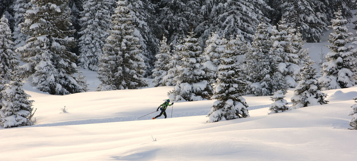 Passo Coe | © Carlo Baroni