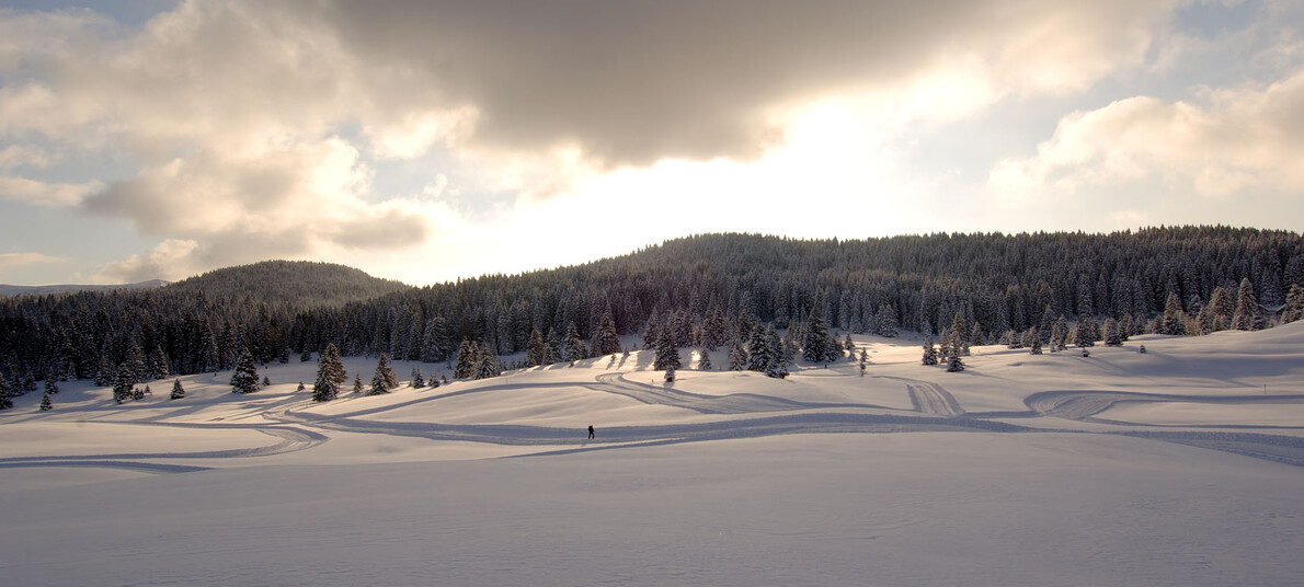 Passo Coe | © Carlo Baroni