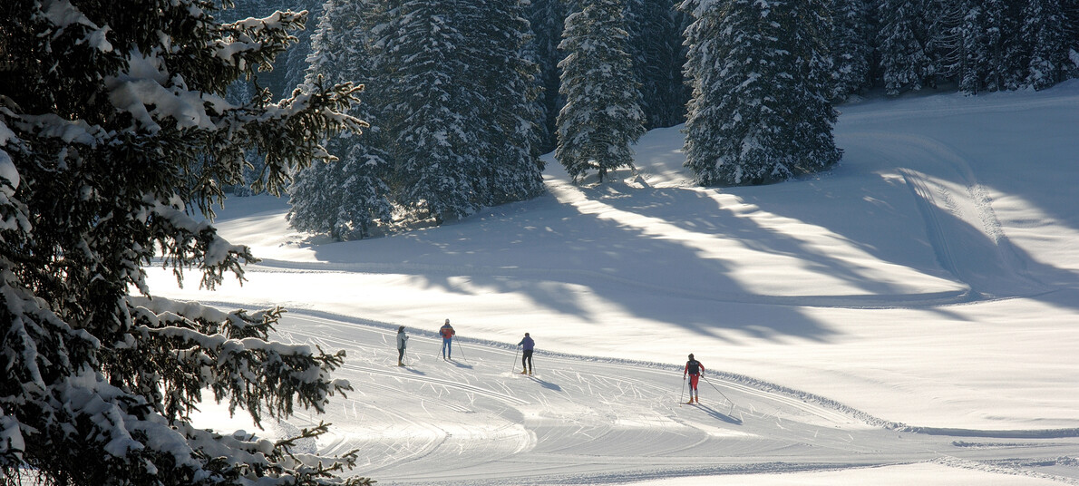 Passo Coe | © Carlo Baroni