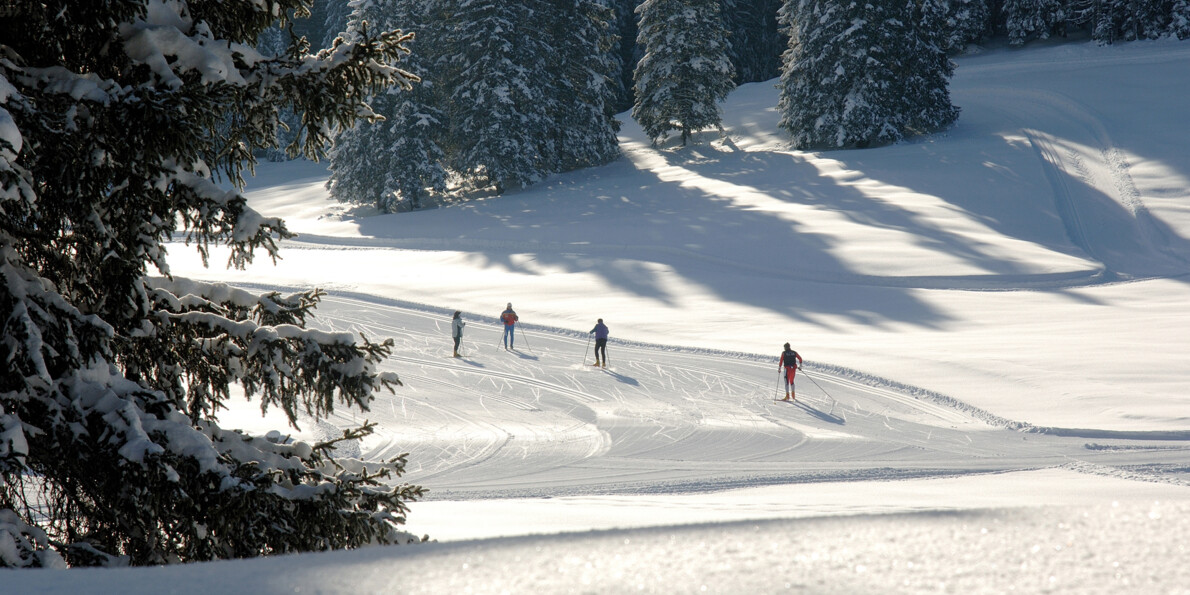 Passo Coe | © Carlo Baroni