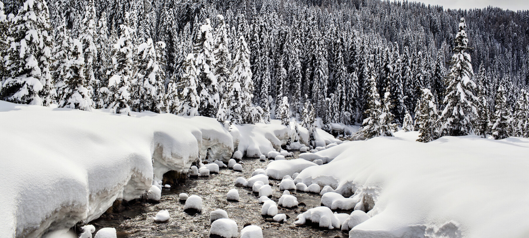 Was hört man in den Wäldern der Dolomiten im Winter?