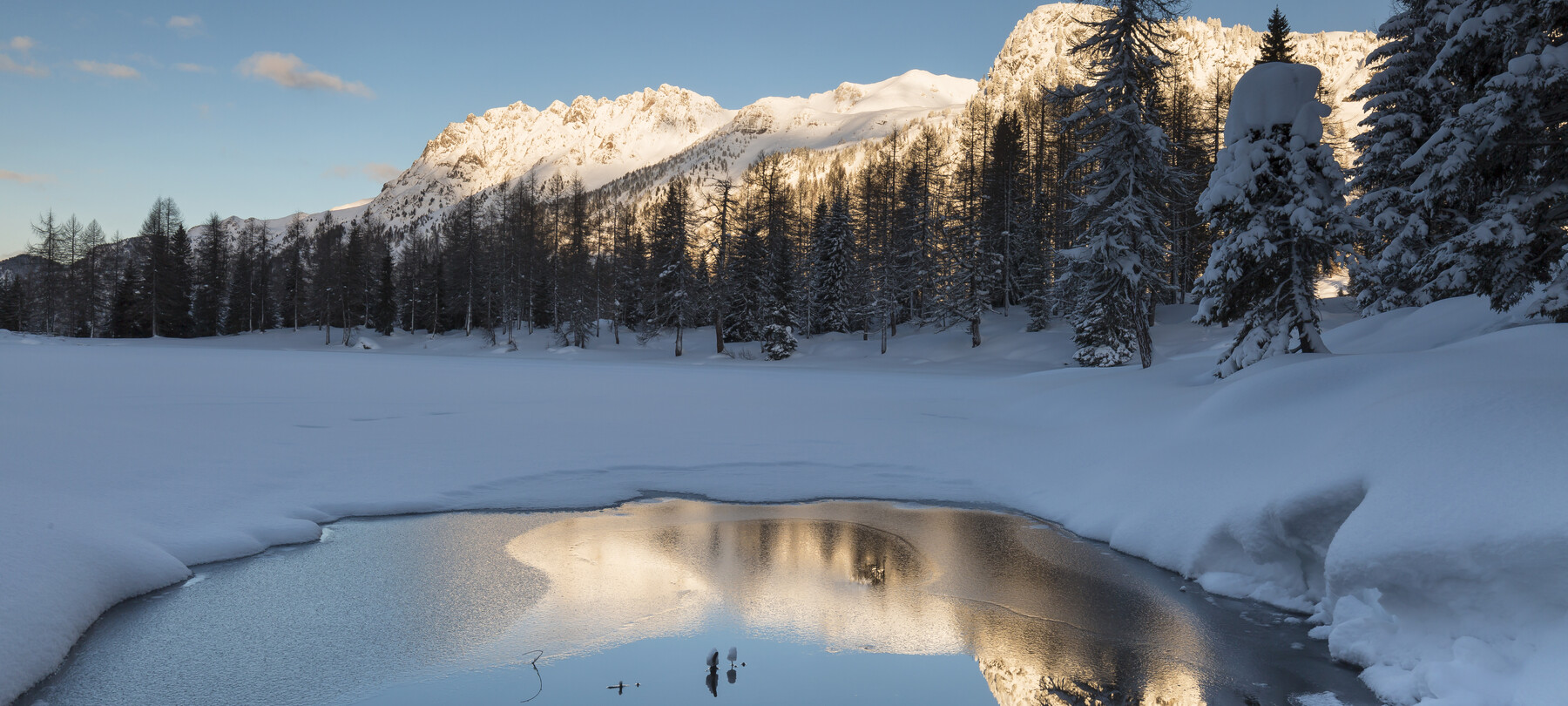 Wie überleben Tiere in gefrorenen Seen?