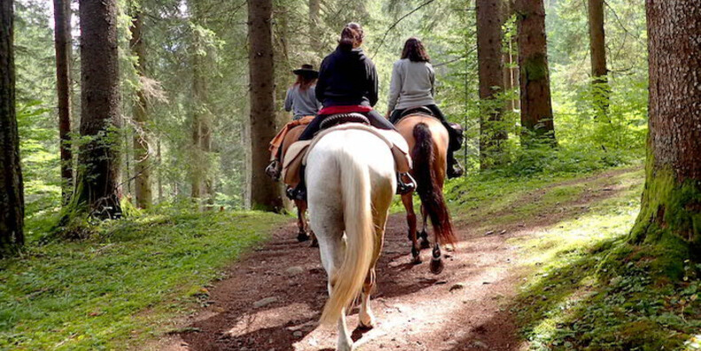 Escursioni a cavallo Horse Trekking | © Foto archivio Apt Madonna di Campiglio