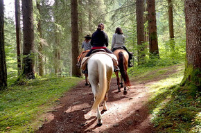Escursioni a cavallo Horse Trekking | © Foto archivio Apt Madonna di Campiglio