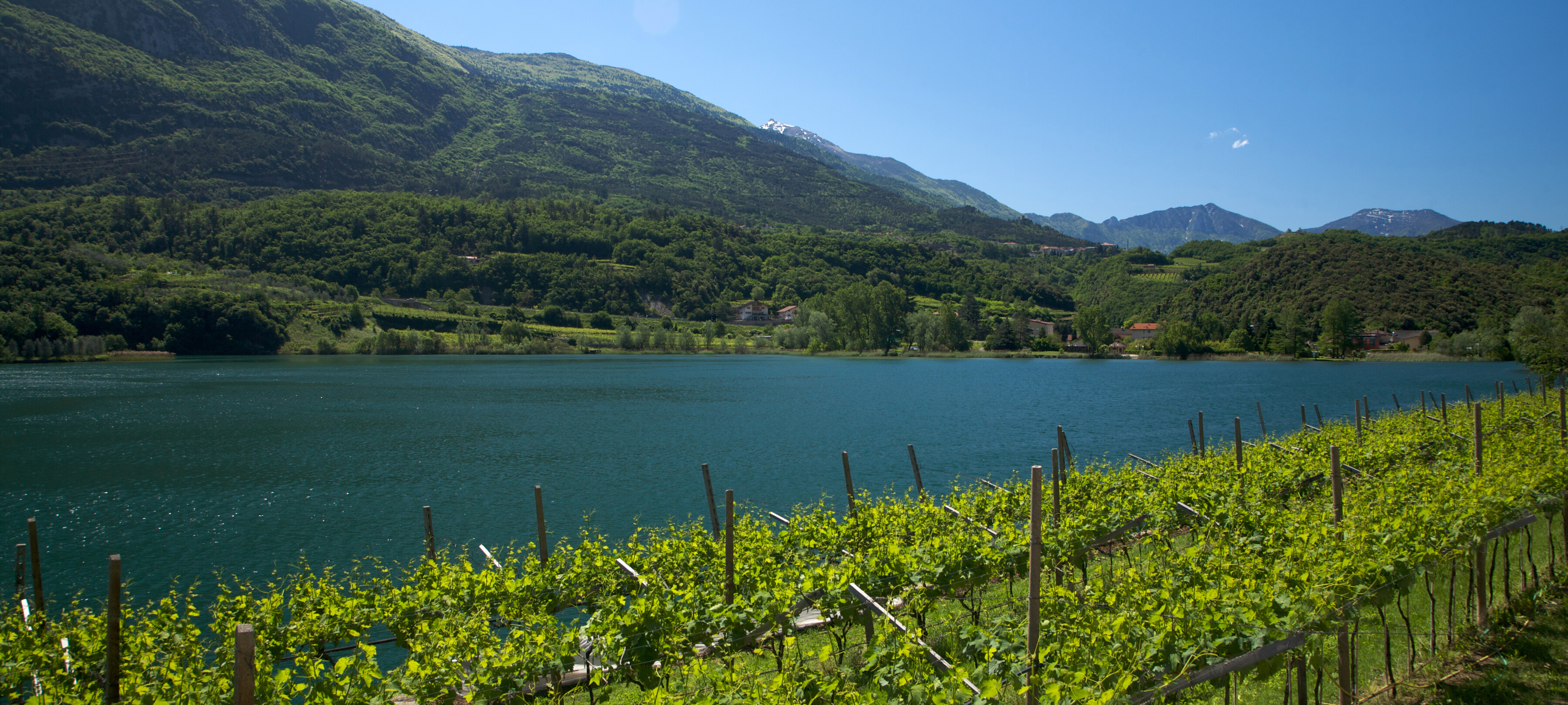 Il Vino Santo Der beliebteste italienische Süßwein