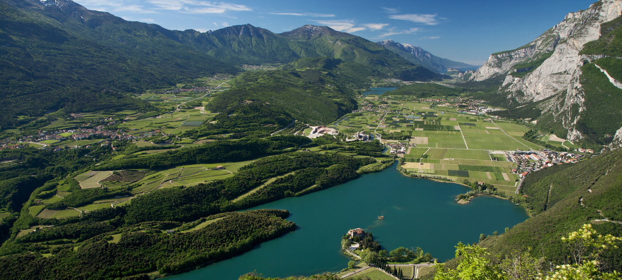 Weinlese für Weinlese