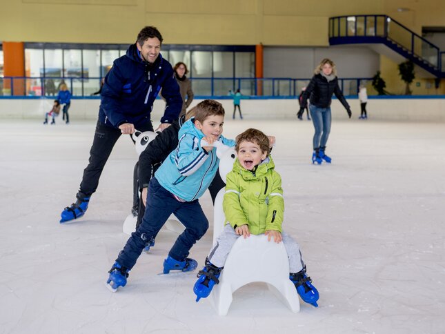 Andalo - Die neue Eishalle